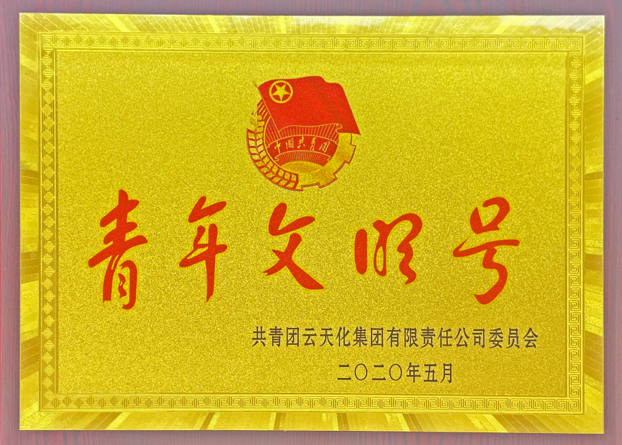 農(nóng)資-2020-集團(tuán)授予“青年文明號(hào)”榮...