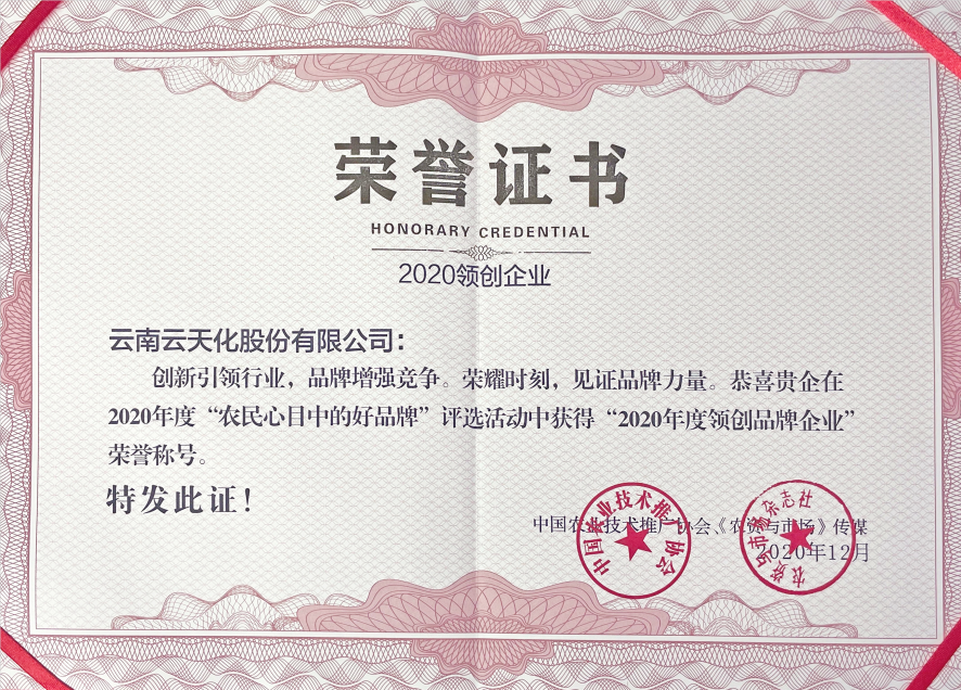 股份-2020-“2020年度領創(chuàng)品牌企...